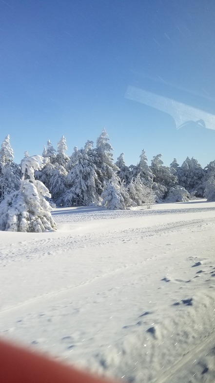 Ай Петри, Rosa Khutor