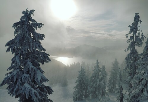 Cypress Mountain Ski Resort by: SeanHuston