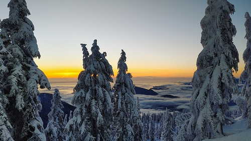 Cypress Mountain Ski Resort by: SeanHuston