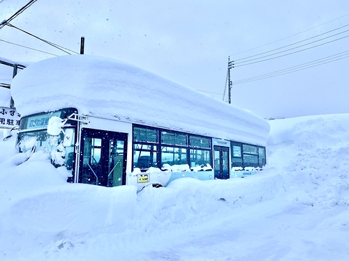 Nozawa Onsen Ski Resort by: Peter Douglas