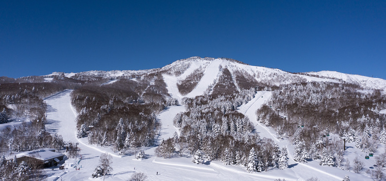 Shiga Kogen-Yakebitaiyama snow