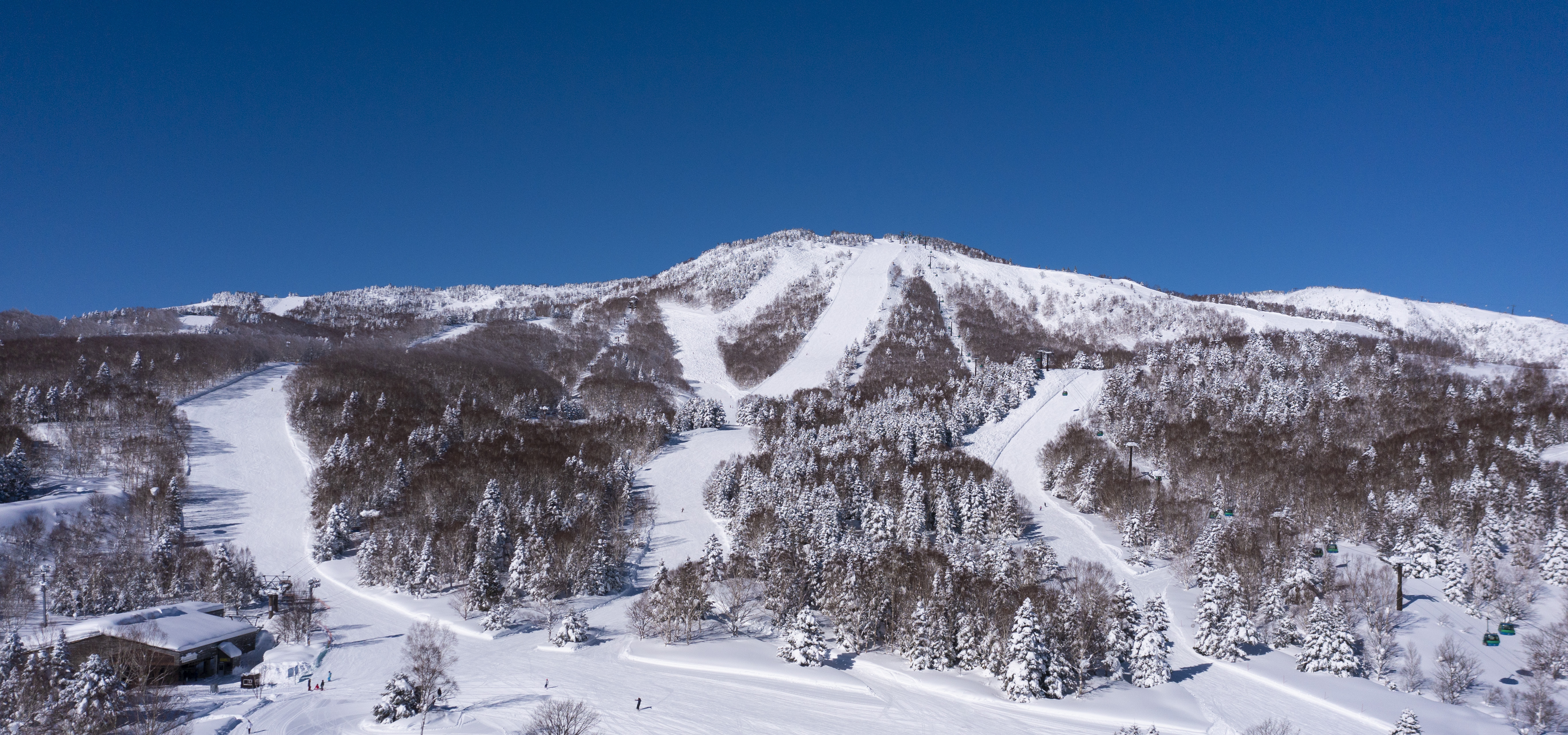 Mt.Yakebi, Shiga Kogen-Yakebitaiyama