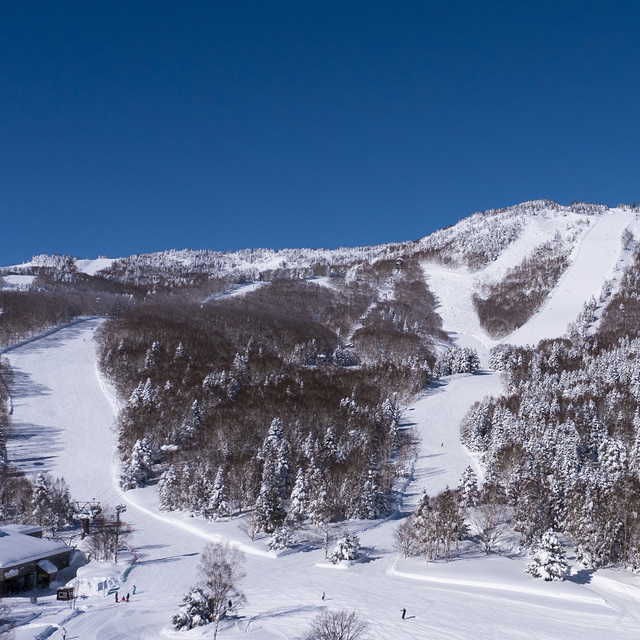 Mt.Yakebi, Shiga Kogen-Yakebitaiyama