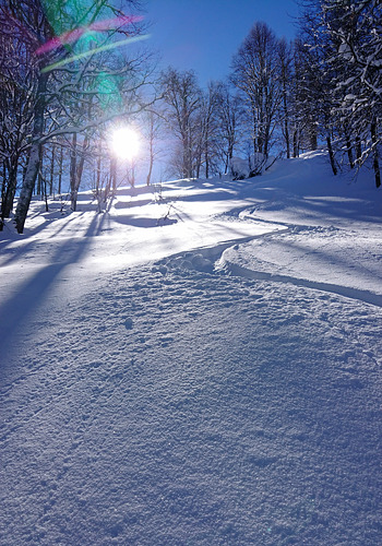 Alpika Ski Resort by: Aleksandr Chichikalov