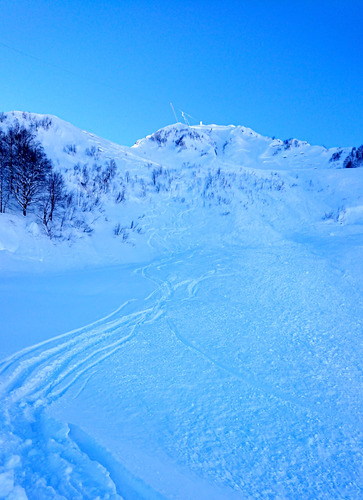 Alpika Ski Resort by: Aleksandr Chichikalov