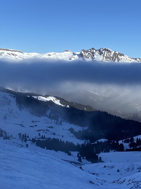 From the Eigergletscher, Grindelwald