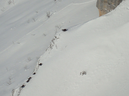 Aillons-Margeriaz Ski Resort by: REMANDET