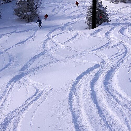 Mont Sutton Ski Resort by: k45027240