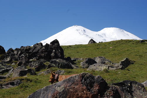 Mt Elbrus Ski Resort by: yuriy davydov