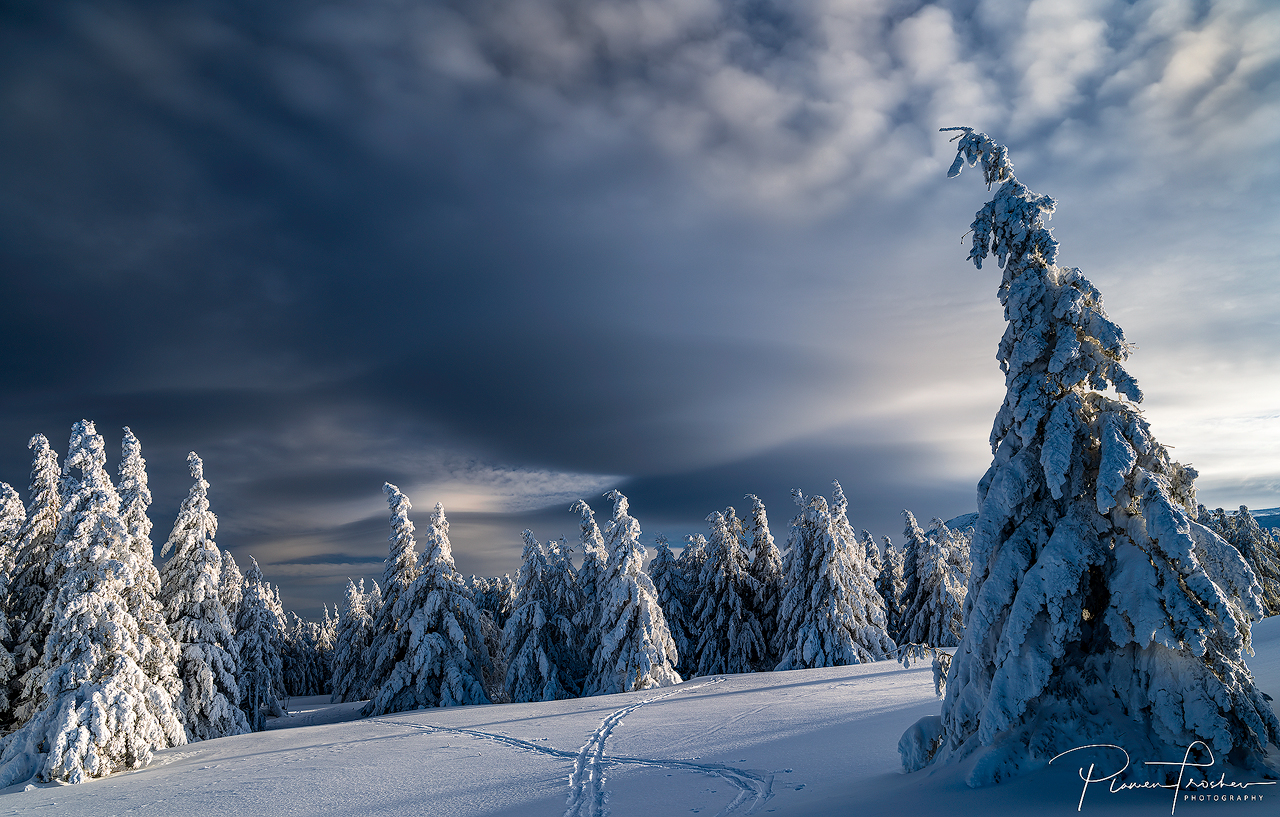 Winter Vitosha