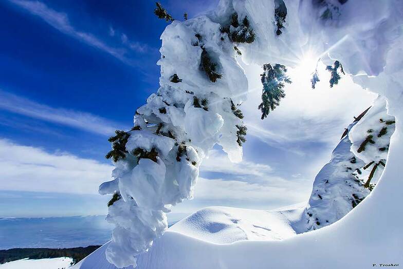 sun & snow, Vitosha