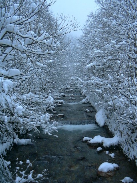 Lanersbach 2003, Hintertux
