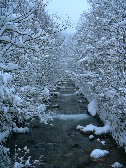 Lanersbach 2003, Hintertux