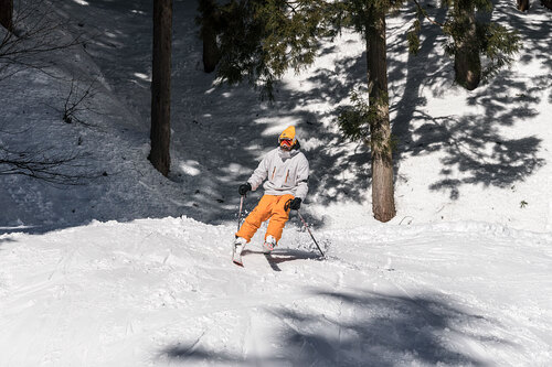 Nozawa Onsen Ski Resort by: Glen Garard