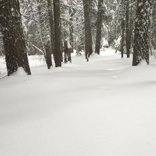 “No Way Out” (except to ski/ride out!), Bluewood