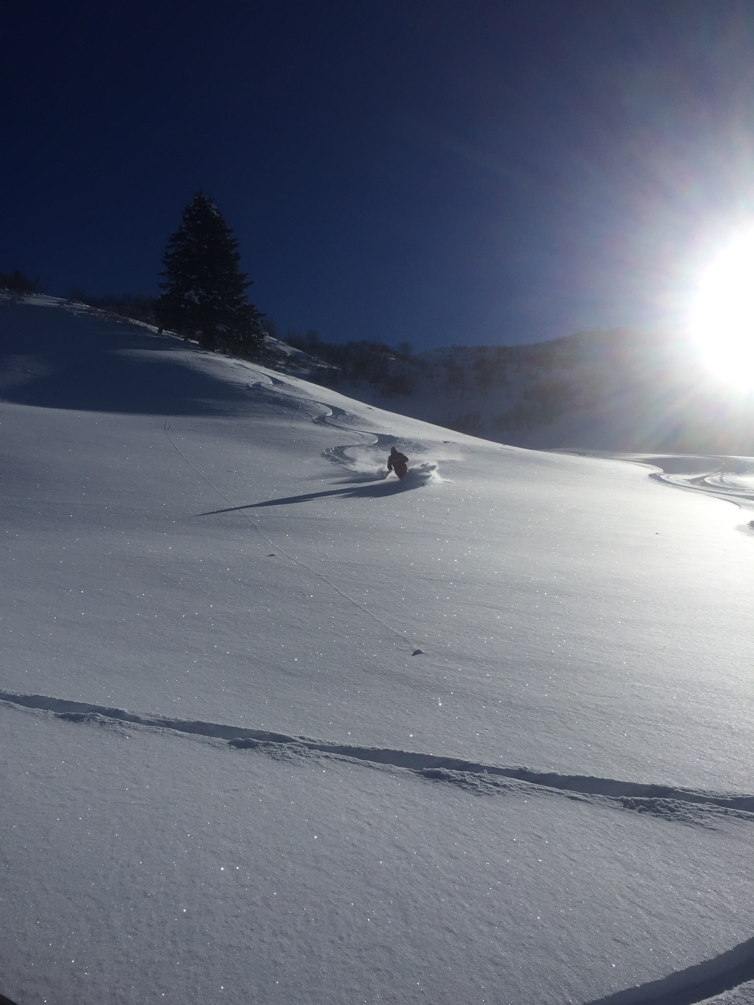 Down from Chaux, Villars