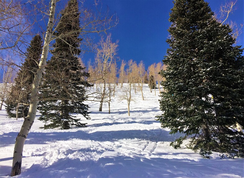 10th Mountain on a Powder Day, Park City