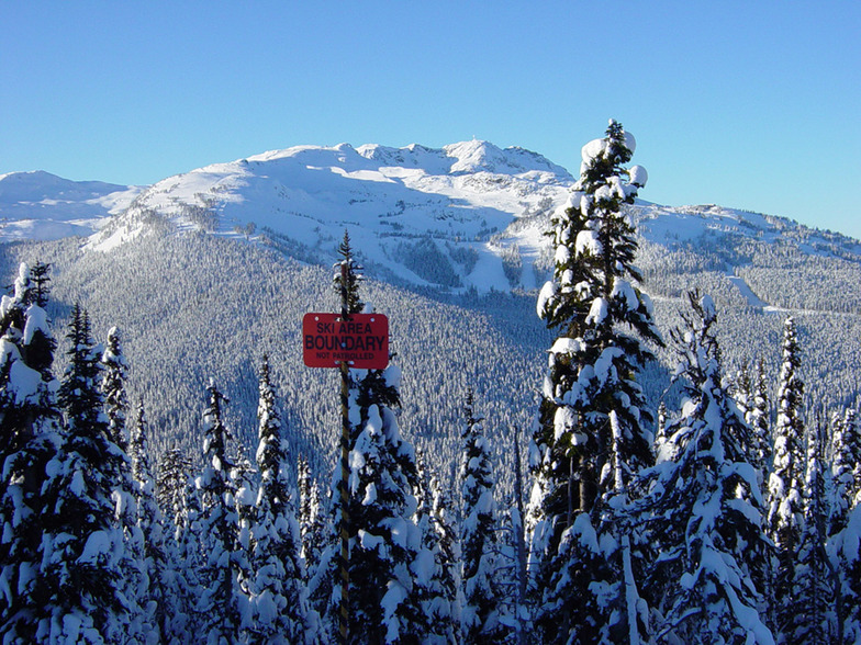 whistler mountain form 7th heaven on blackcomb, Whistler Blackcomb