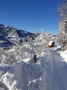 Our accomodation, Goderdzi photo