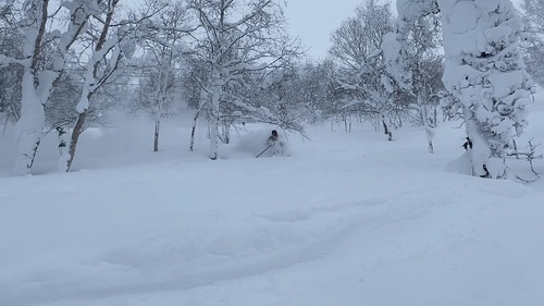 Rusutsu Resort Ski Resort by: stephane