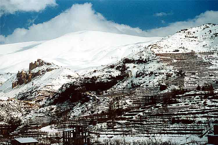 The lebanese mountains during winter season., Cedars