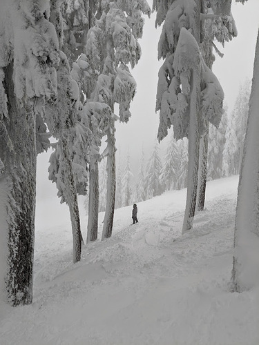 Mount Washington Ski Resort by: Sheila B