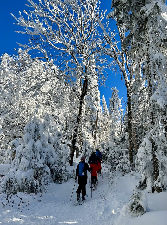 Alpine touring in Tremblant, Mont Tremblant