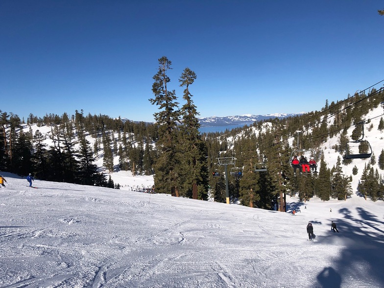 Bluebird day, Heavenly