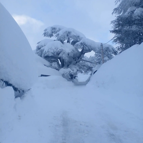 Cedars Ski Resort by: Michel Massoud