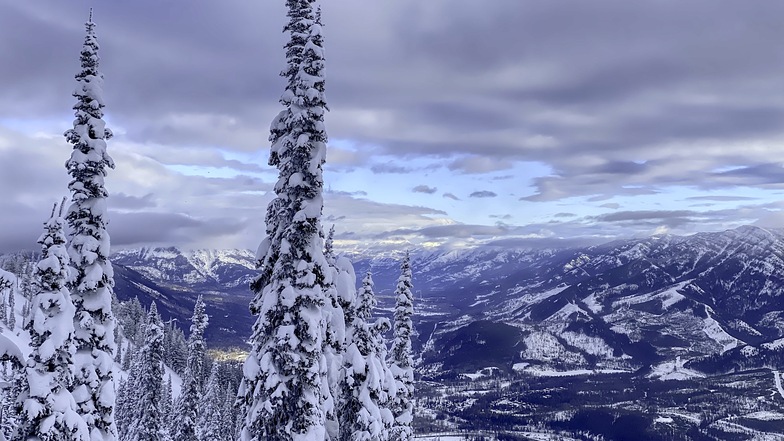 Timberline, Fernie