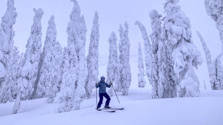 Sugarpines, Fernie