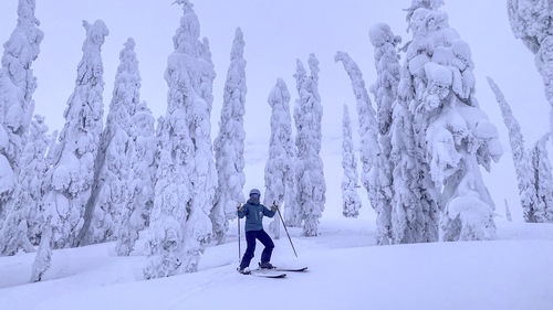 Fernie Ski Resort Guide | Snow-Forecast.com