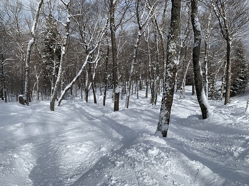 Mont Tremblant Ski Resort by: Doug Parker