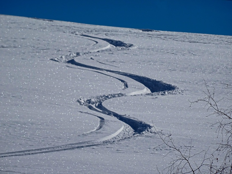 Trace, Alpe d'Huez