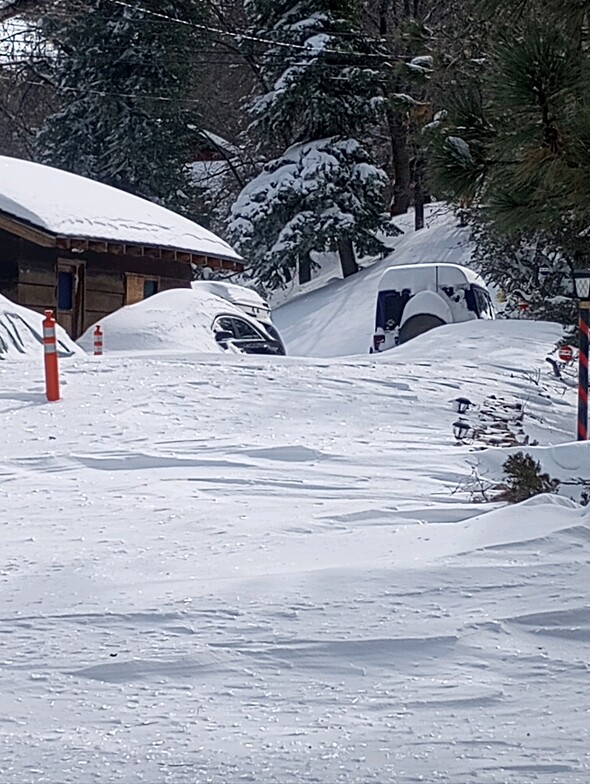 Waist deep, Big Bear Mountain