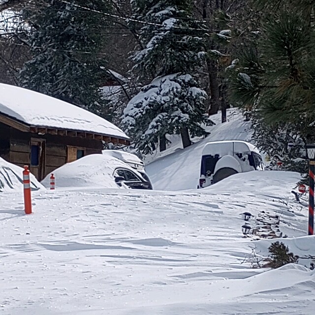 Waist deep, Big Bear Mountain