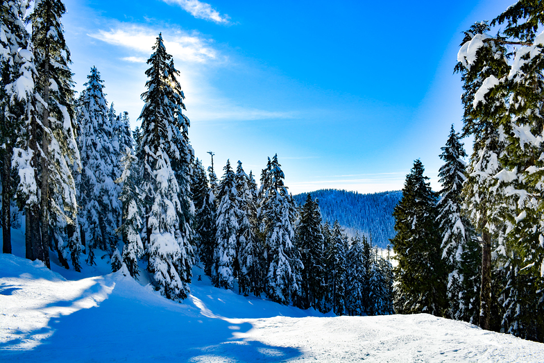 Clear Day Cypress Mountain 