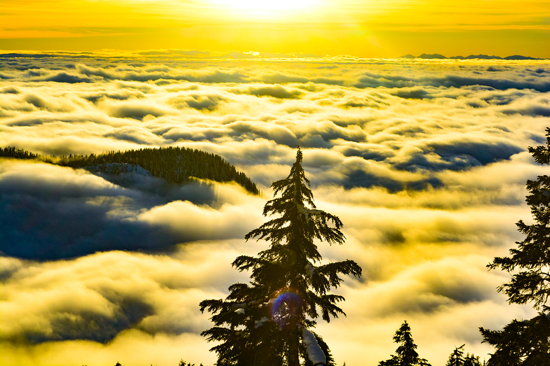 Above the Clouds, Cypress Mountain