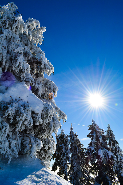 Clear Day Fresh Snow, Cypress Mountain