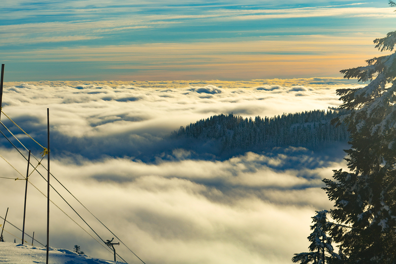 Above the Clouds, Cypress Mountain