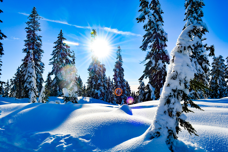 Heavy Snow, Cypress Mountain