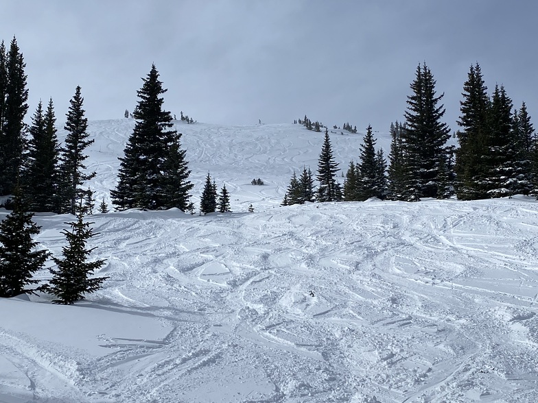 Sky Pilot off the Parsenn Bowl, Winter Park