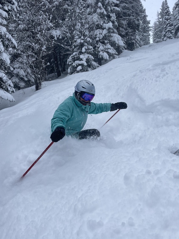 Powder hound!, Kimberley