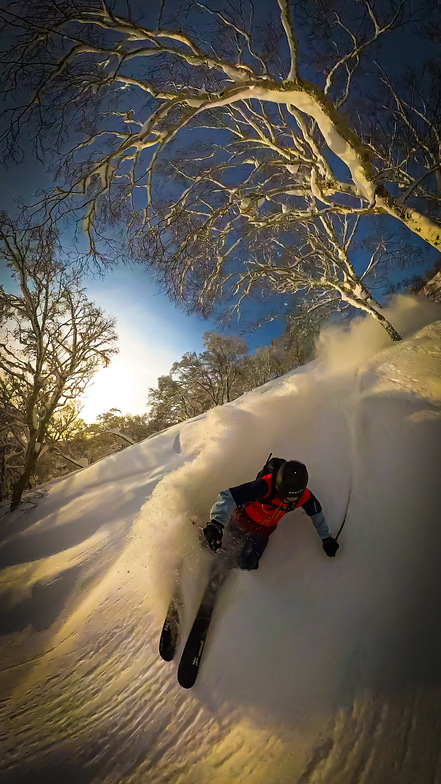 JaPow BlueBird, Niseko Hanazono Resort