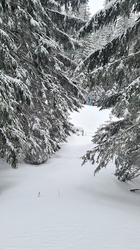 Jahorina Ski Resort by: Technical Team