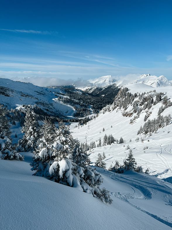 Snowcross near Mossettes - Avoriaz