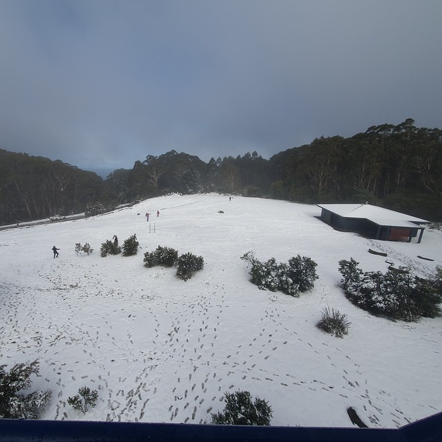 Mount Donna Buang