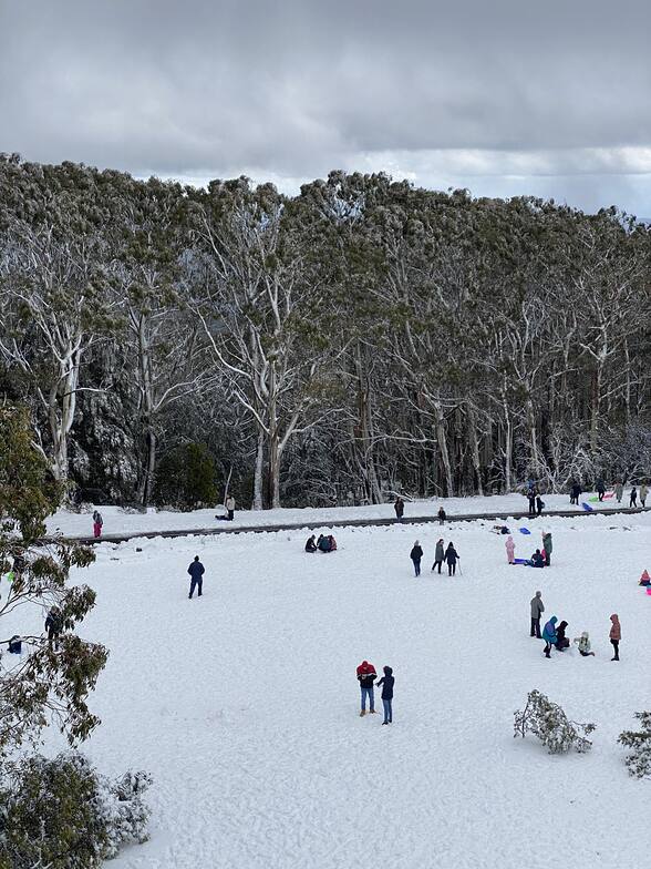 Mount Donna Buang snow