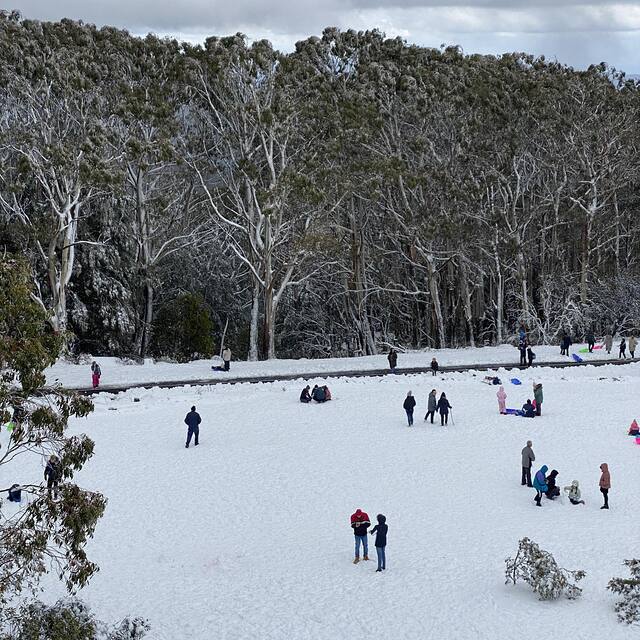 Awesome place, Mount Donna Buang