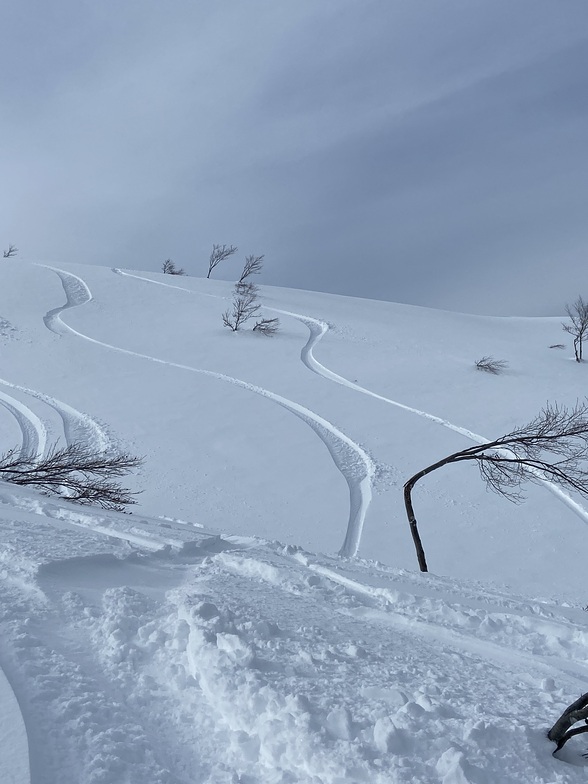 fresh lines Arai, Lotte Arai Resort